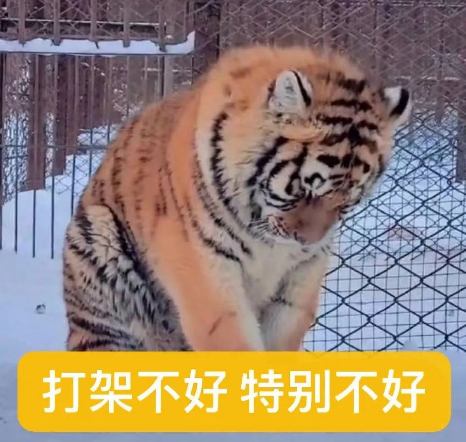 打架不好，特别不好.jpg