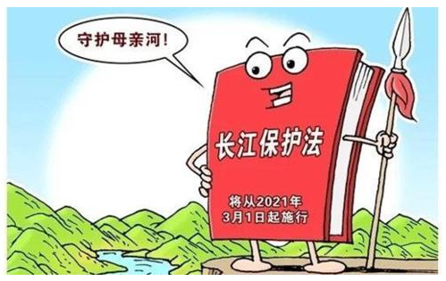长江保护法.png